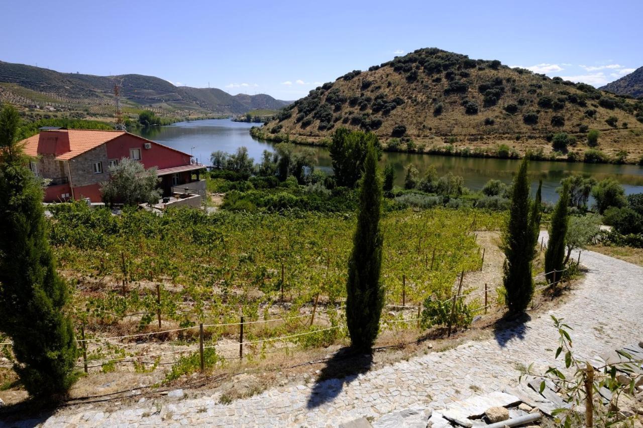 Olhares Do Douro Pensionat Torre De Moncorvo Eksteriør billede