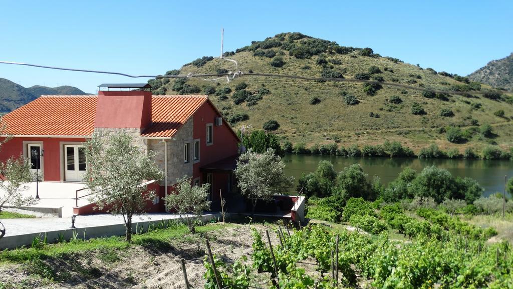 Olhares Do Douro Pensionat Torre De Moncorvo Eksteriør billede